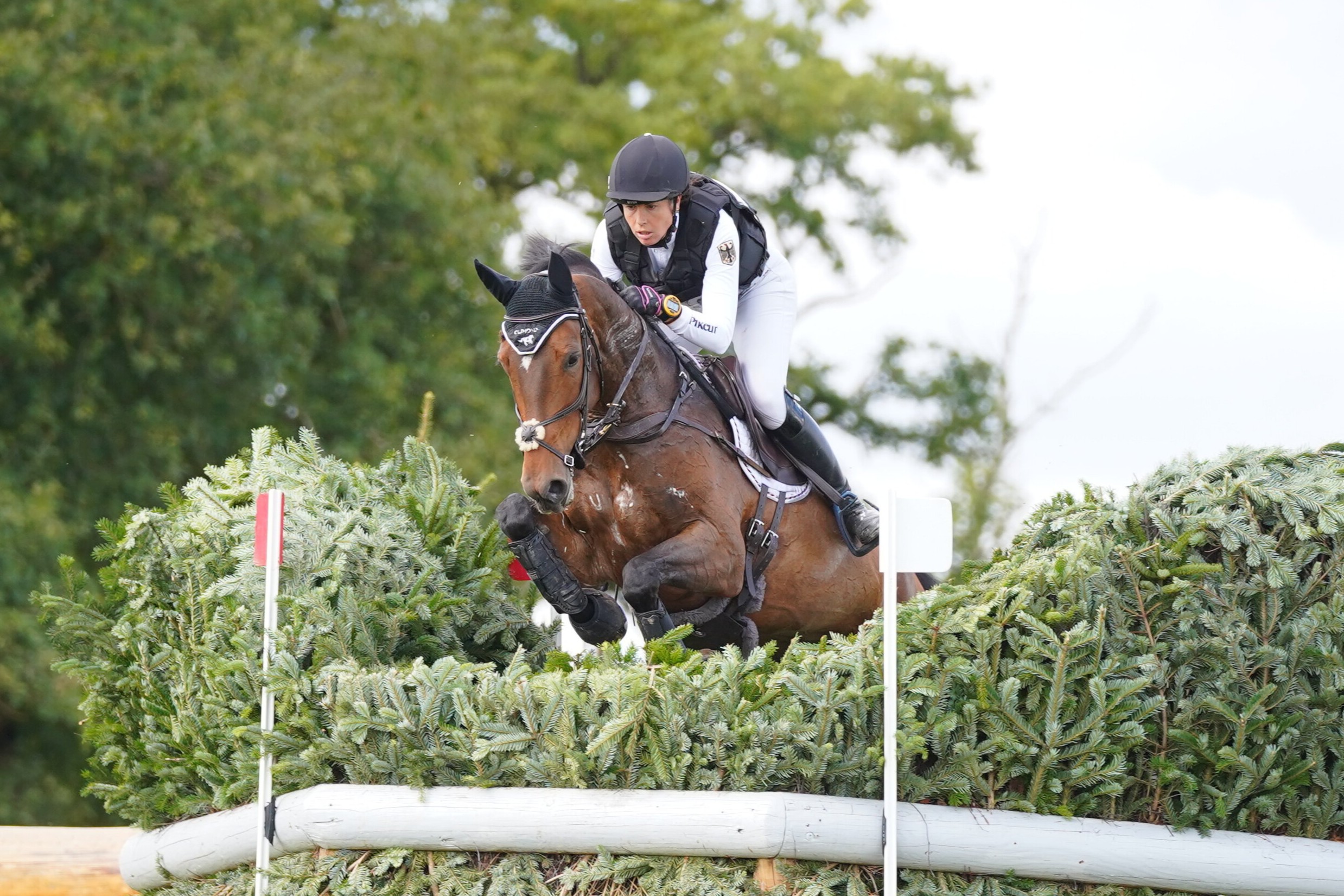 Vielseitigkeitsreiterin Heike Jahncke auf einem Pferd im Sprung über einen Busch