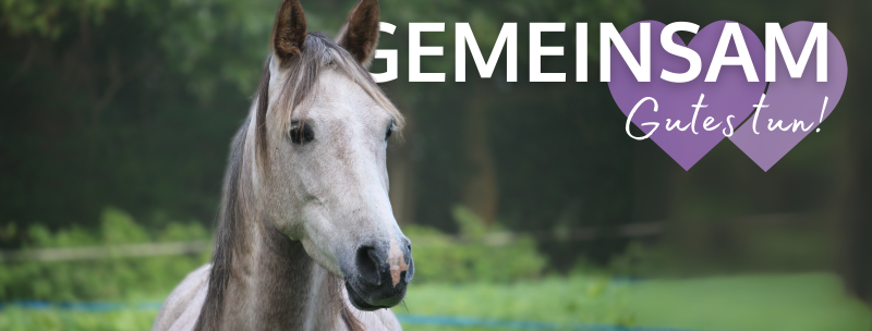 Pferd im grünen mit Schriftzug gemeinsam gutes tun