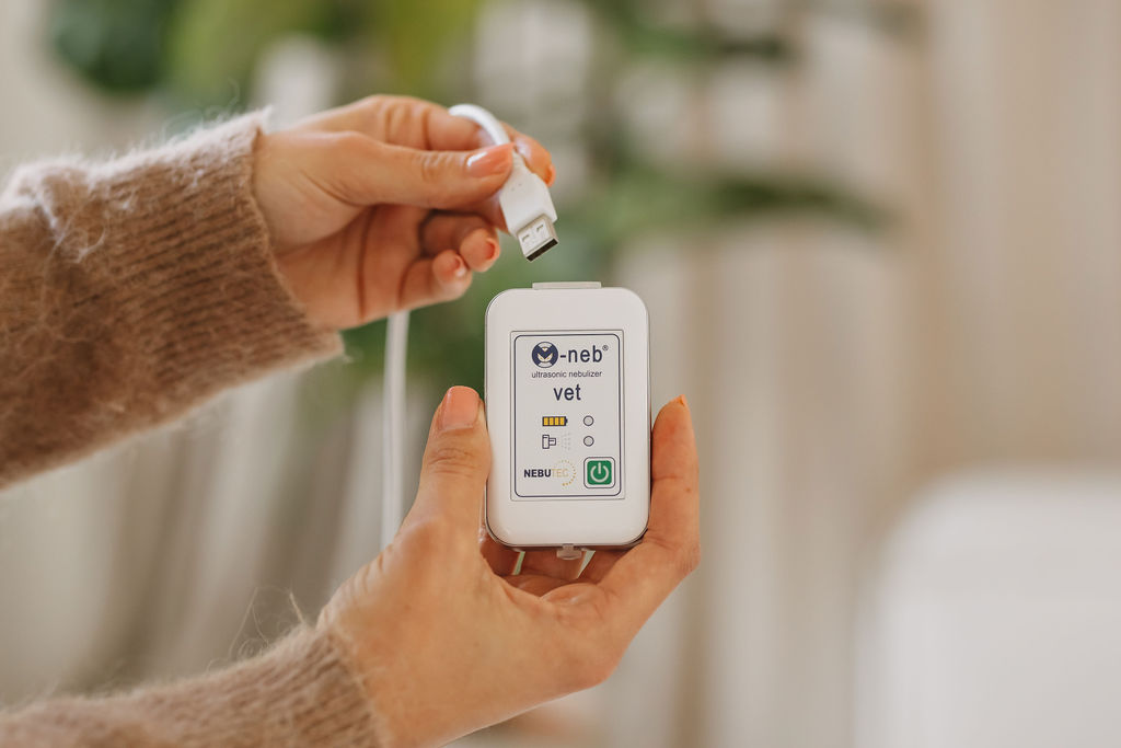 Verbindungskabel wird von Frau in M-neb vet Steuereinheit gesteckt