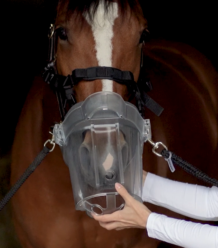 Transparentes Gehäuse wird auf die Pferdenase gesetzt